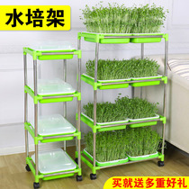 Sprouts multi-layer planting rack thickened with cover seedling basin hydroponic bean sprouts nursery plate sprouts soilless cultivation