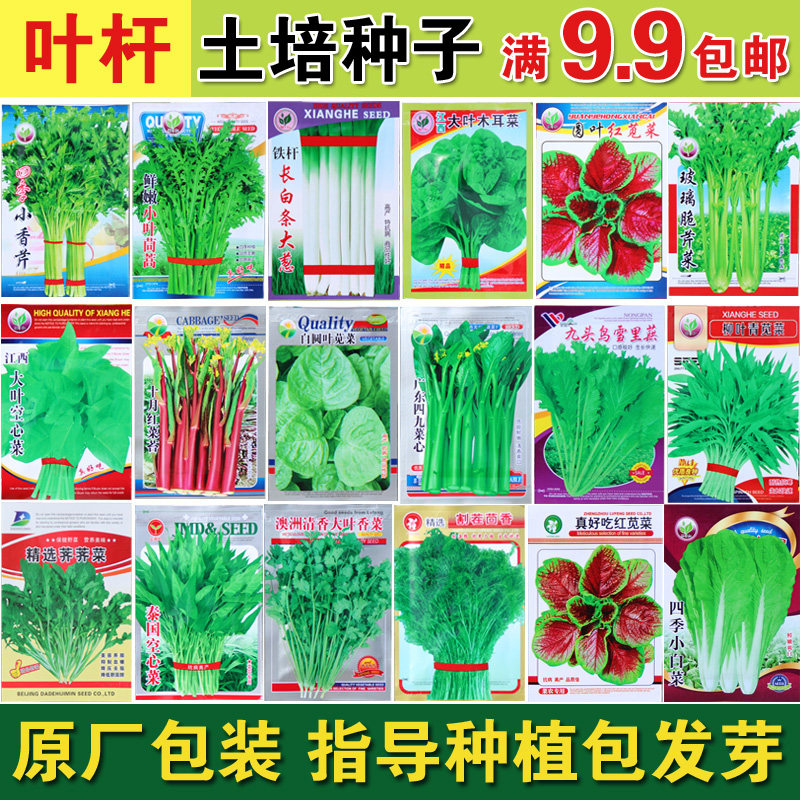 Spring Autumn Vegetable Seed Leeks Celery Celery Cilantro Cilantro Cilantro Cilantro spinach Chrysanthemum Flowers Artemisia Purslane Balcony Seasons Seeds
