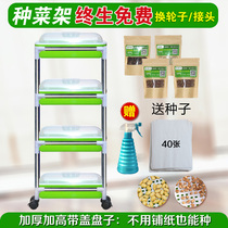 Clearance sprouts planting plate bean sprouts seedling tray with cover seedling basin sprouts seed multi-layer shelf