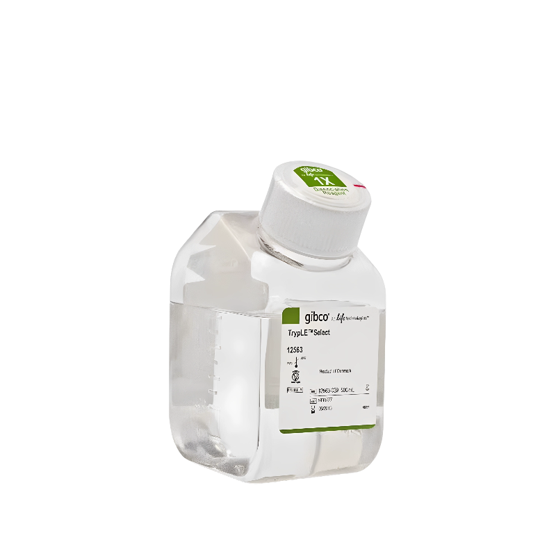 12563029，TrypLE? Select 酶 (1X)，无酚红，500ml