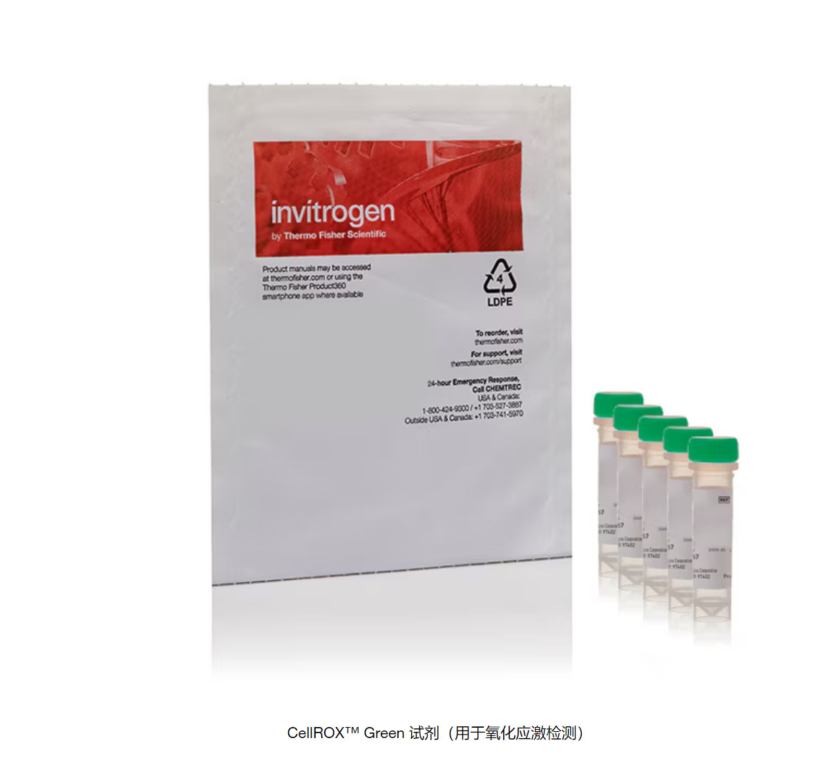C10444，CellROX? Green 试剂（用于氧化应激检测），50ul，单支