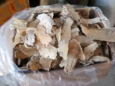 White cake tooth fungus a catty 350