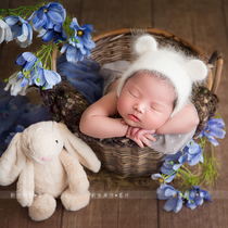 Pastoral romantic cosmos flower set newborn photography photo in the branch flower arrangement home decoration wilderness sense wild chrysanthemum