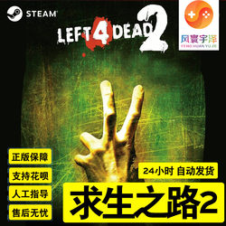 Steam Genuine Pc Game Left 4 Dead 2 New Account Finished Product Account China Region Multiplayer