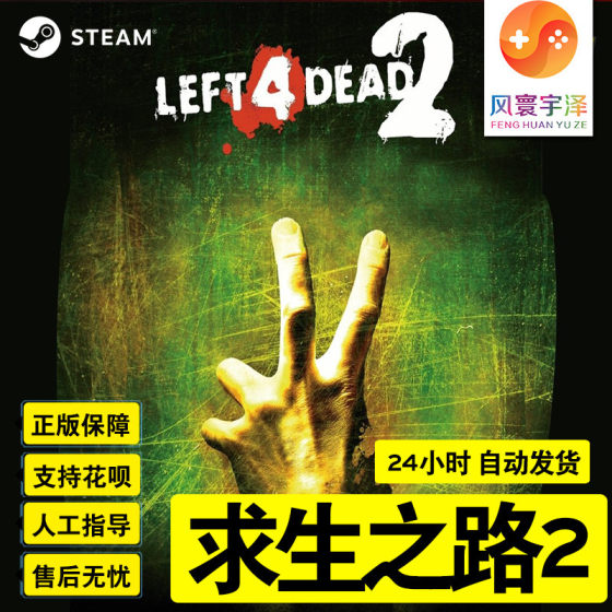 Steam Genuine Pc Game Left 4 Dead 2 New Account Finished Product Account China Region Multiplayer
