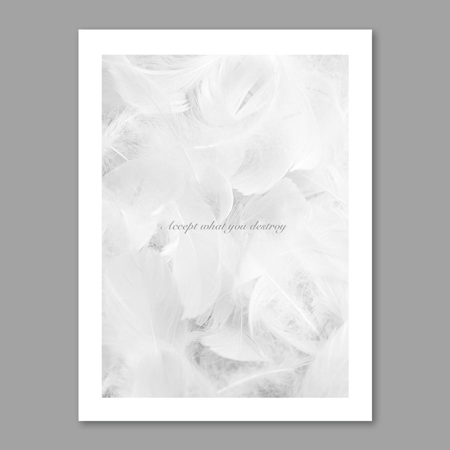 Mint Platform Original Nordic Small Crowddecorative Painting Feather Art Narrow Rim Bedroom Jane Hanging Paintings and Decorative Paintings