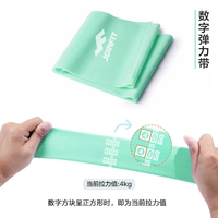 2 -метровая цифровая версия (зная больше зеленых птиц 20 фунтов)