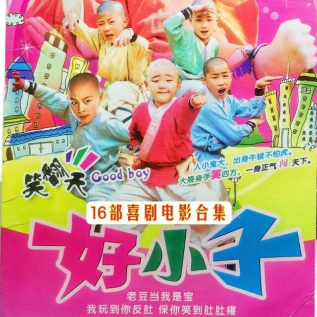 16 funny comedies, Good Boys classic movie collection, Kid Alone, Big Brother, Completed DVD discs, 2 discs