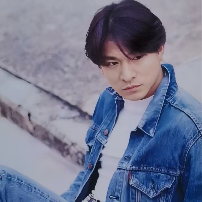 Liu Dehua Wig, Middle Part with Bangs, Imitation Show, Retro 80S Cos, Four Heavenly Kings, Heaven if It Had a Heart