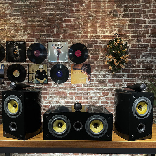 Banlong home theater Nautilus passive bookshelf box hifi fever-grade speaker home high-fidelity audio center