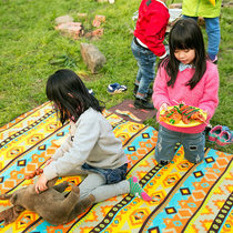 Black deer picnic mat moisture-proof mat camping mat climbing mat thick moisture-proof mat picnic portable picnic mat waterproof