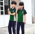 đồng phục học sinh bộ trường tiểu học cho trẻ em quần áo vườn mẫu giáo mùa hè quần ngắn tay đồng phục lớp ngắn váy pleated váy 