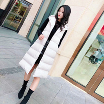 Cotton coat vest womens winter long knee Korean version 2020 new autumn and winter loose thickened vest horse clip jacket