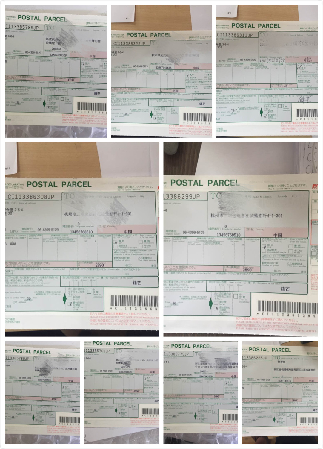 Autocollant pour vélo RICHELL - Ref 2276367 Image 9