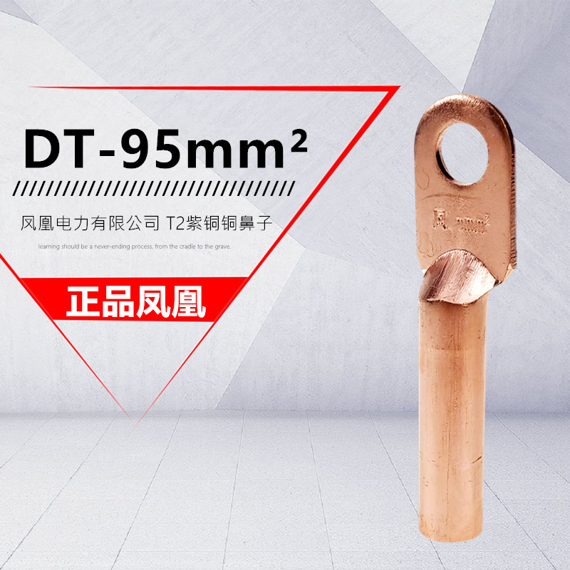 Phoenix DT-95 square copper wire nose and ear pickling oil plugging copper terminal block Cable terminal block