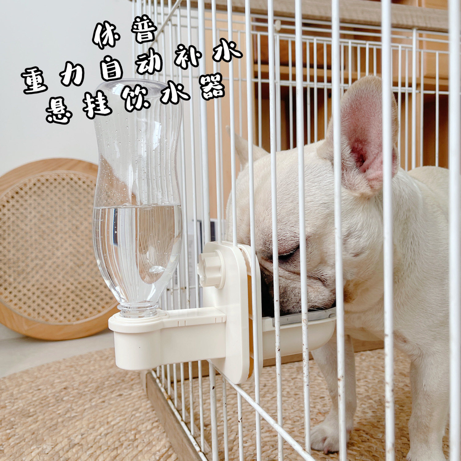 Hump Super Cage Hanging Gravity Drinking Water Jug Hanging Cage Drinking Water Dispenser Feed Water Bottle Automatic Water Drinking Water Dispenser