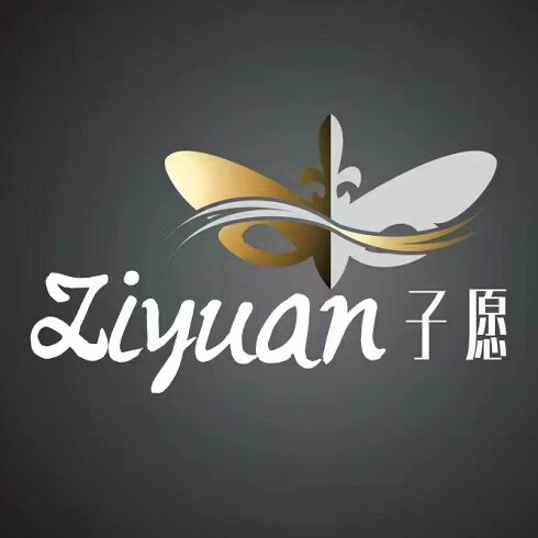子愿移民企业店的LOGO