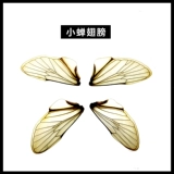 Jiaing cicada wings (отдельные цены) знают образцы крыльев и насекомых Образец образец