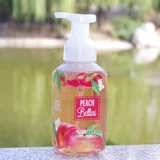 Американская ванна и кузов работает нежная анти -вирусная антибактериальная пена