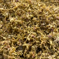 Affordable Yandang Mountain Tiepi Dendrobium Dried Flowers Yuan 22 Years Spring Flowers Authentic Huoshan Tiepi Dendrobium Tea Dendrobium Dry Strips