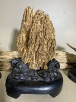 Read the live broadcast special shooting (find the corresponding number to pay between 50 and 100)