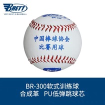 BR-300 National A Teen Baseball Championship Designation with Ball BRETT Soft Baseball