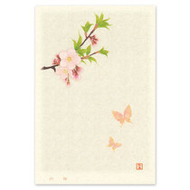 (Cherry Romantic) and Daole and Quankuang Sakura Sakura and the Wind Postcard The First Cherry 1