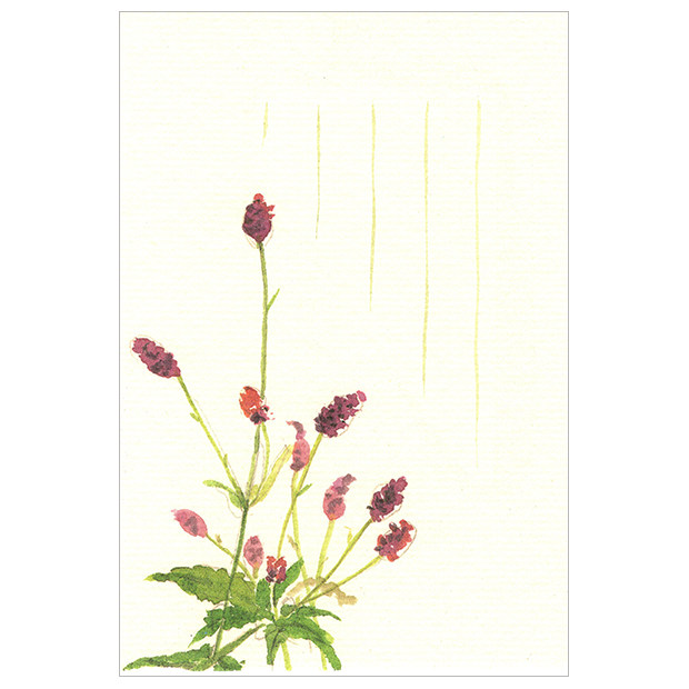 (Summer and Autumn Winter Spring) Japanese Watercolor Painting Season and Paper Postcard Autumn I also Red 1
