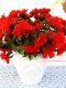Artificial Azalea Soft Decoration Green Belt Flower Box Outdoor Plastic Fake Flowers Silk Flowers School Decorations Azalea