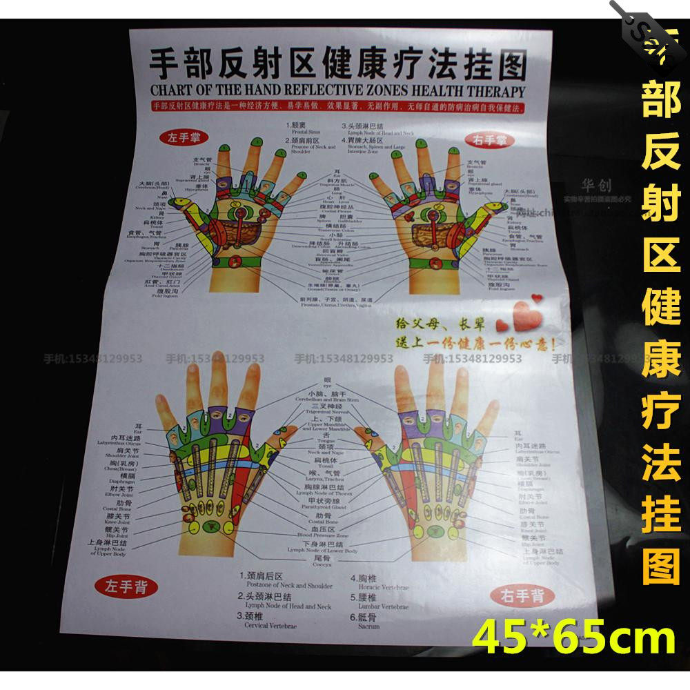 手心手背穴位按摩针灸效果教程教学图手部反射区健康疗法挂图养身