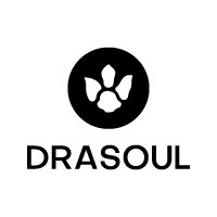 DRASOUL运动户外企业店的LOGO