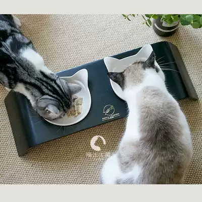 Japanese minimalist design little wild leopard solid wood curved double bowl rack cat bowl cat bowl dog bowl cat dog tableware