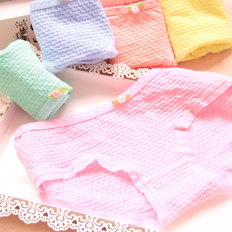 Slip jeunesse en coton - Ref 646227 Image 9