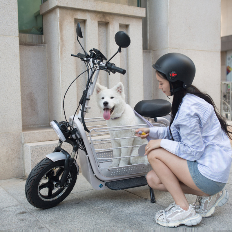Yidi Big Dudu Electric Scooter Can Carry Pets, Walk Dogs, and Transport Children, Lightweight Foldable Electric Scooter for Women