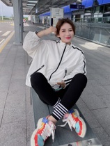 Special BORAKOO South Korea East Gate Autumn Feedback ~ Super Bai tie Stripe Stretch Stretch Tight