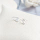 925 sterling silver small earrings 2024 new style fashionable and high-end small earrings niche design earrings for women