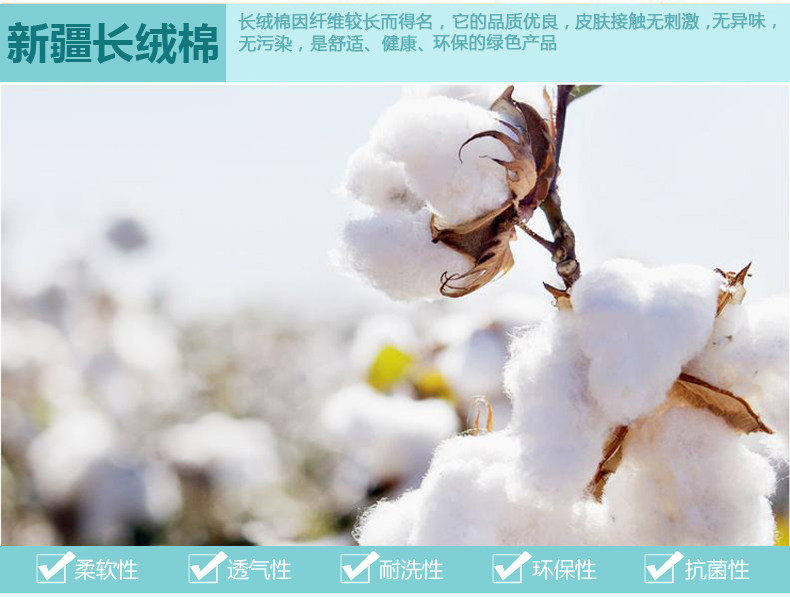 Chemise garcon à manche longue - Ref 2077093 Image 38