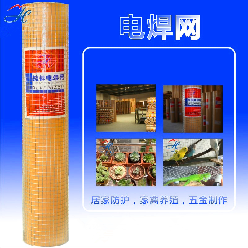 Quality home hot-dip galvanized electro-welded mesh wire mesh steel wire mesh anti-rat netting Breeding Nets Balcony Protective Orchard Fencing