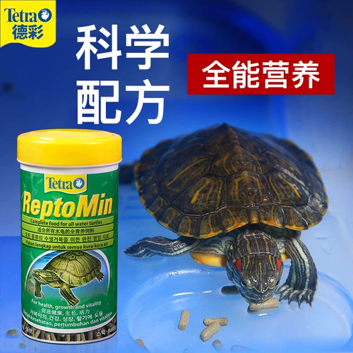 Декайская черепаха кормить черепах кормление бразильской черепахой свиньи черепахи Черепаха Специальное зерно