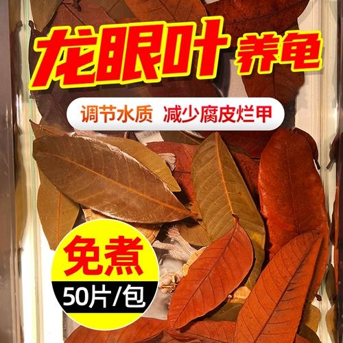 Лонгэн черепах без варенованных черепах гнилая кожа гнилая броня, чтобы избежать черепах с листовым цилиндром черепах Лонгэн для улучшения ландшафта качества воды