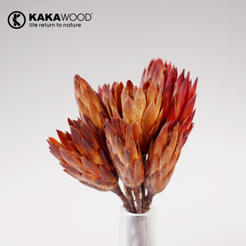 kakawood��ŷ��ʽ�ߵ�ֲ��ɻ�