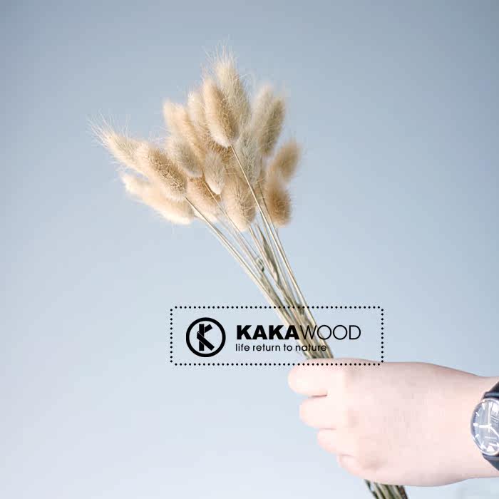 kakawood�Ҿ���װ��Ʒ�ɻ� ��β��