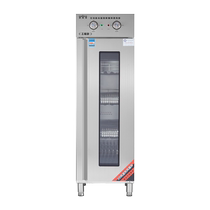 High temperature commercial disinfection cabinet hot air circulation basket stainless steel catering restaurant cupboard large capacity vertical sideboard