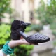 Черный (модель 109-1) Spot-Feet удобно