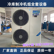 Emerson Canyon cold storage refrigeration unit 3p4p5p6p a complete set of equipment vegetables fruits fish low temperature