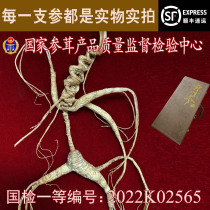 Ginseng Changbai Mountain wild ginseng forest ginseng national inspection special grade wild ginseng wild ginseng gift box Huanren wild ginseng yellow certificate