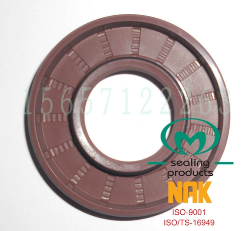 Тайвань нак флуориновый скелет масляный уплотнение tc 60*100*10 60*110*10*12 60*75*10*6*8