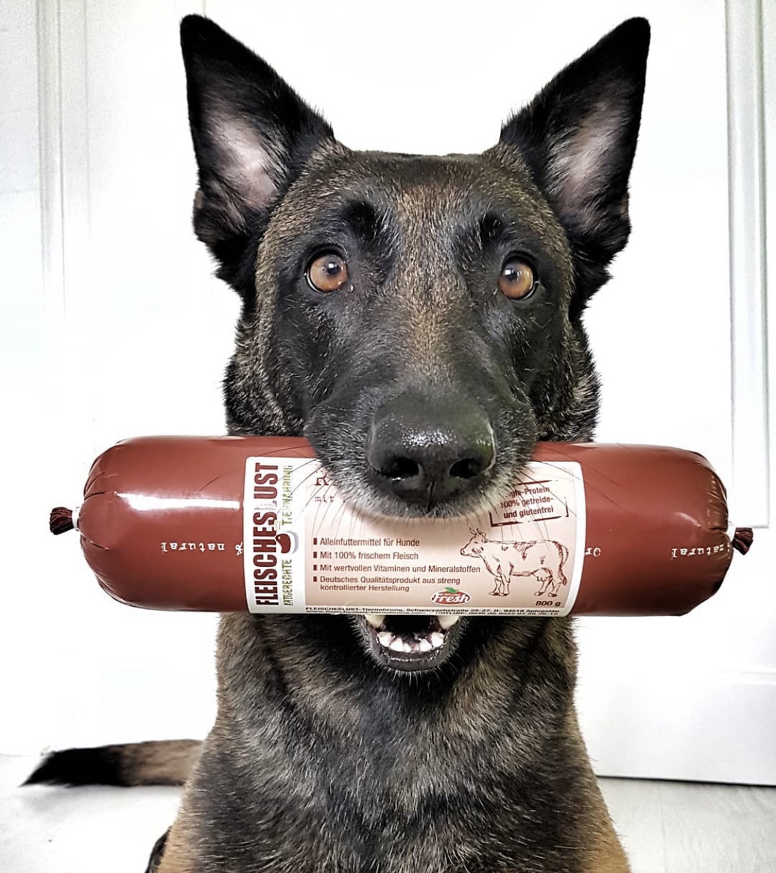 Dharma Department Store Germany Fleischeslust Sausage Staple Dog food Cat food Auxiliary carnivorous intestines Wet food