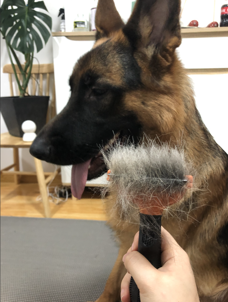 Dharma Department Store FURminator Fumeinet dog combing cat hair artifact special comb to remove floating hair and hair removal