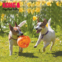 Dharma Department Store PET RUBBER TOY PROFILED BALL FOOTBALL SOUND BITE-RESISTANT SHAKING INTERACTIVE LARGE DOG